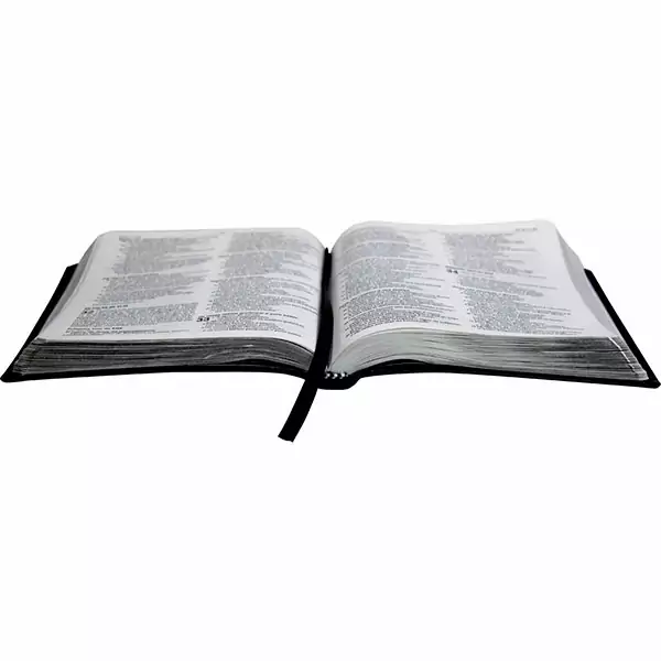 Biblia Sagrada Lettering – Jesus Copy NAA – Luxo Chumbo