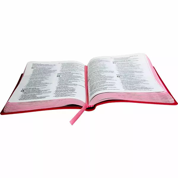 Biblia Sagrada Lettering – Jesus Copy NAA – Pink Fuxia