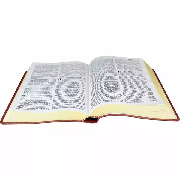 Biblia Sagrada com Harpa Crista – ARC Letra Grande - SBB | CPAD